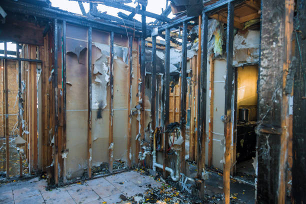 Professional Fire Damage Removal technician working in Palmview South, TX